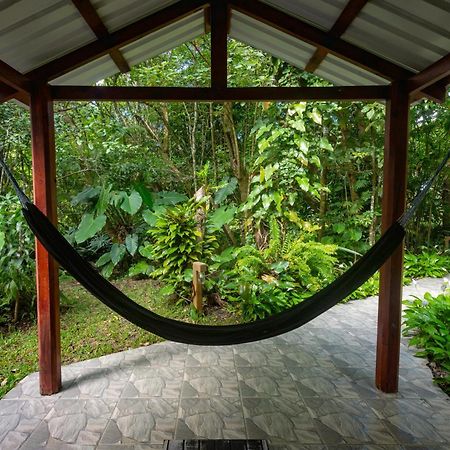 Cabanas Valle Campanas - Monteverde, Costa Rica Eksteriør bilde